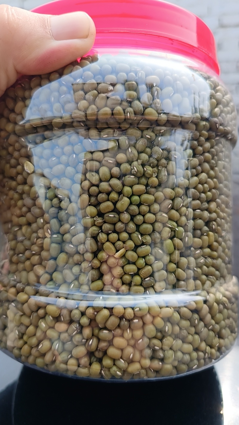 东北绿豆，商品豆食品豆