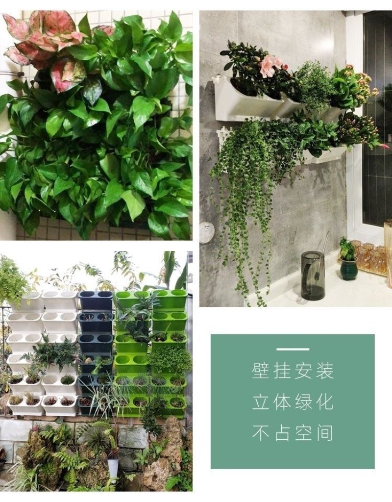 阳台壁挂花盆免钉贴钢钉钉墙款室内外绿萝多肉蔬菜立体绿化种