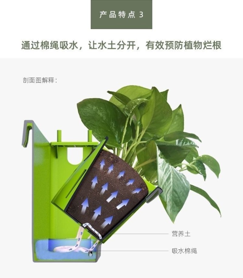 阳台壁挂花盆免钉贴钢钉钉墙款室内外绿萝多肉蔬菜立体绿化种