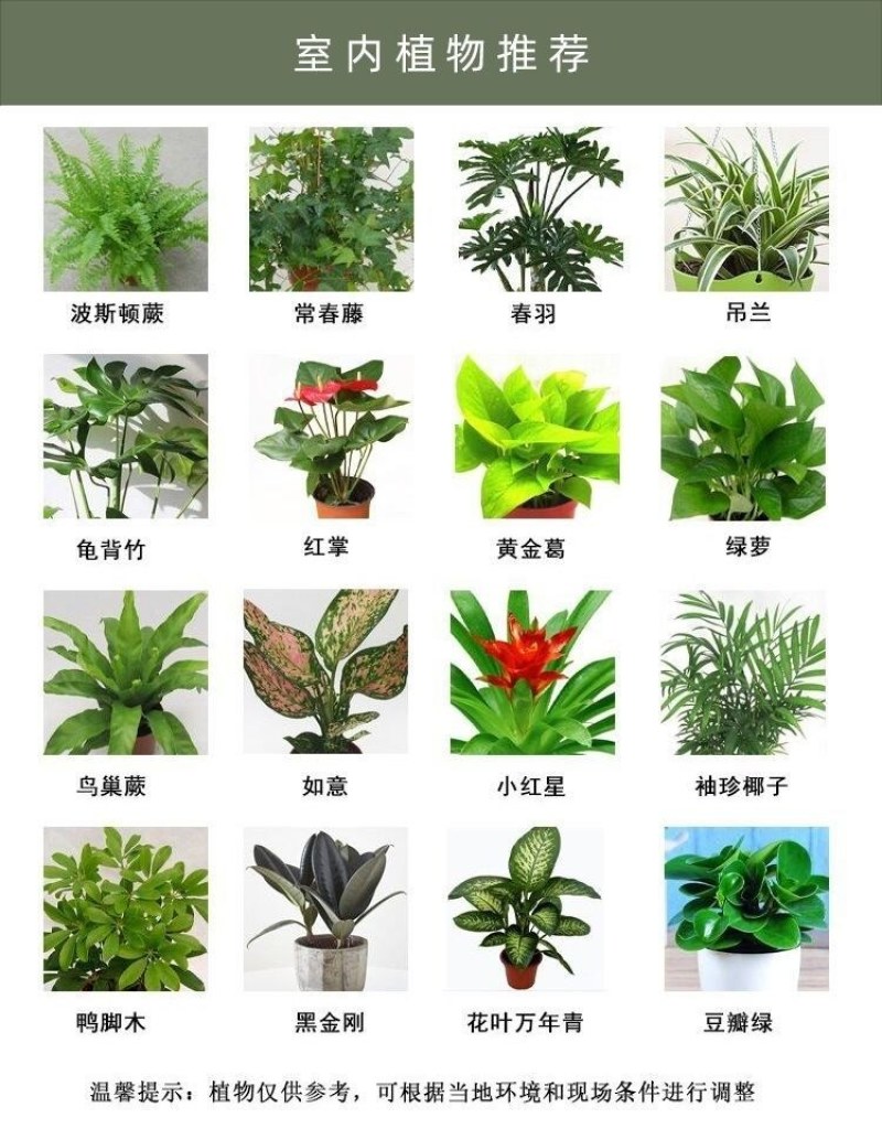 阳台壁挂花盆免钉贴钢钉钉墙款室内外绿萝多肉蔬菜立体绿化种