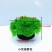 绿菊坨草增氧懒人球形水草一整套净化水质必备品