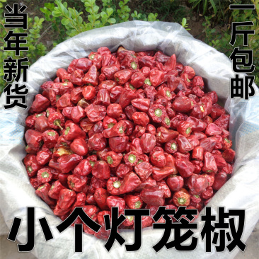 贵州小个灯笼椒草莓椒小灯笼椒中辣特香麻辣香锅火锅海椒干辣