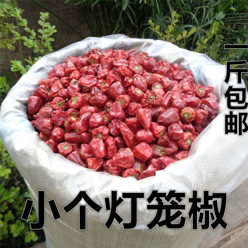 贵州小个灯笼椒草莓椒小灯笼椒中辣特香麻辣香锅火锅海椒干辣