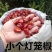 贵州小个灯笼椒草莓椒小灯笼椒中辣特香麻辣香锅火锅海椒干辣