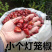 贵州小个灯笼椒草莓椒小灯笼椒中辣特香麻辣香锅火锅海椒干辣