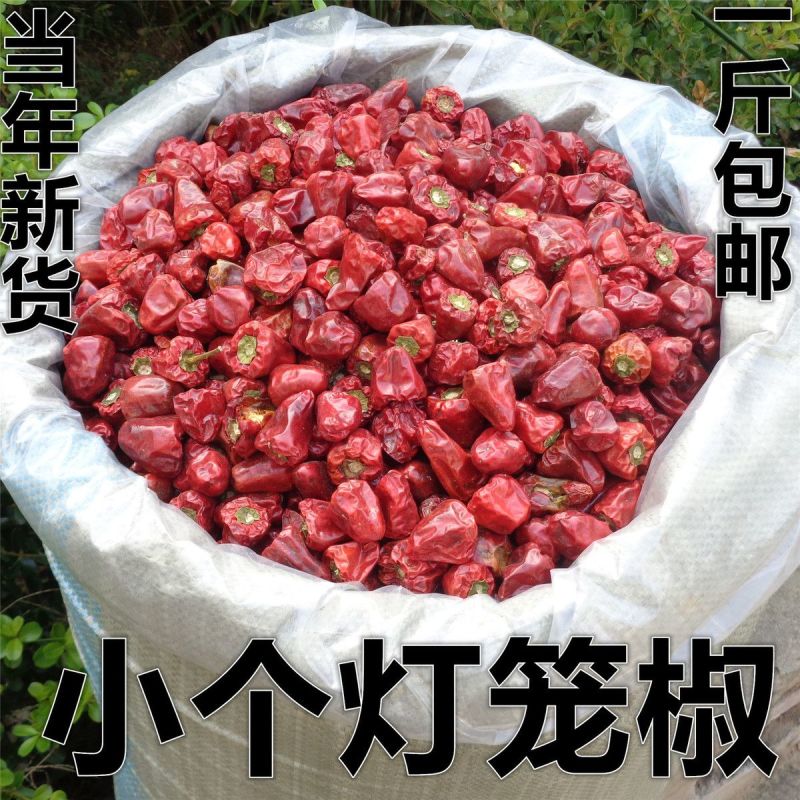 贵州小个灯笼椒草莓椒小灯笼椒中辣特香麻辣香锅火锅海椒干辣
