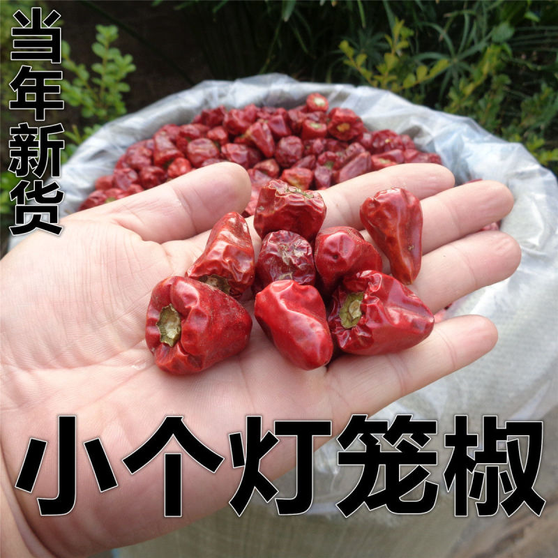 贵州小个灯笼椒草莓椒小灯笼椒中辣特香麻辣香锅火锅海椒干辣