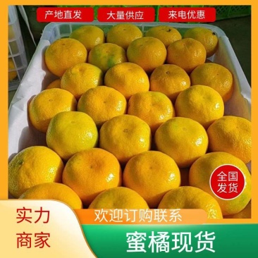 云南特早蜜橘产地现摘现发个大皮薄水分充足