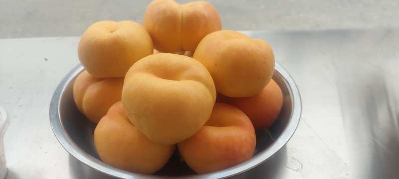 油蟠七