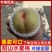 阳山水蜜桃奉化水蜜桃纯甜无酸要的来懂货的来