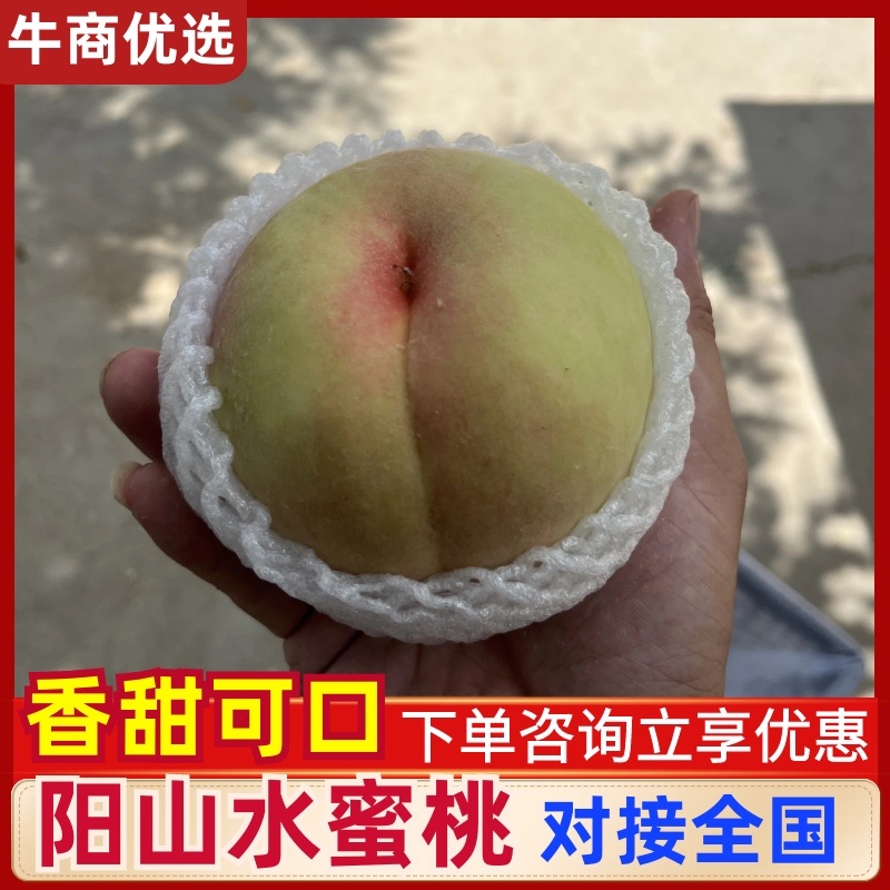 阳山水蜜桃奉化水蜜桃纯甜无酸要的来懂货的来