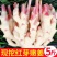 山东嫩姜仔姜净重5斤/3斤生姜鲜姜红芽姜做泡糖醋姜时令应季蔬