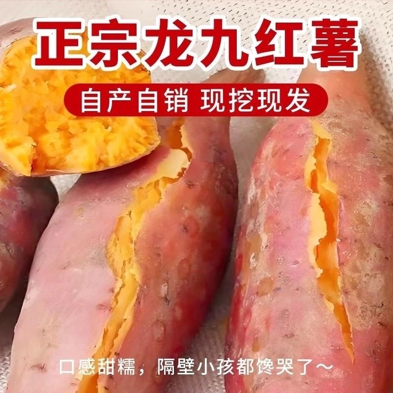 实力推荐开封龙薯大量供应，对接全国市场，一手货源