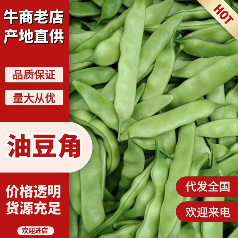 吉林大油豆角上市货源充足量大从优质量保证欢迎咨询