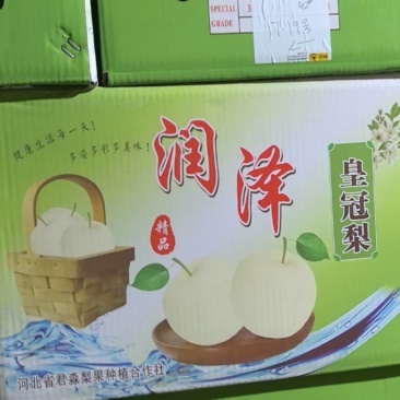精品皇冠梨，冷库直发价格实惠货源充足批发价欢迎联系
