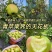 小金青苹果