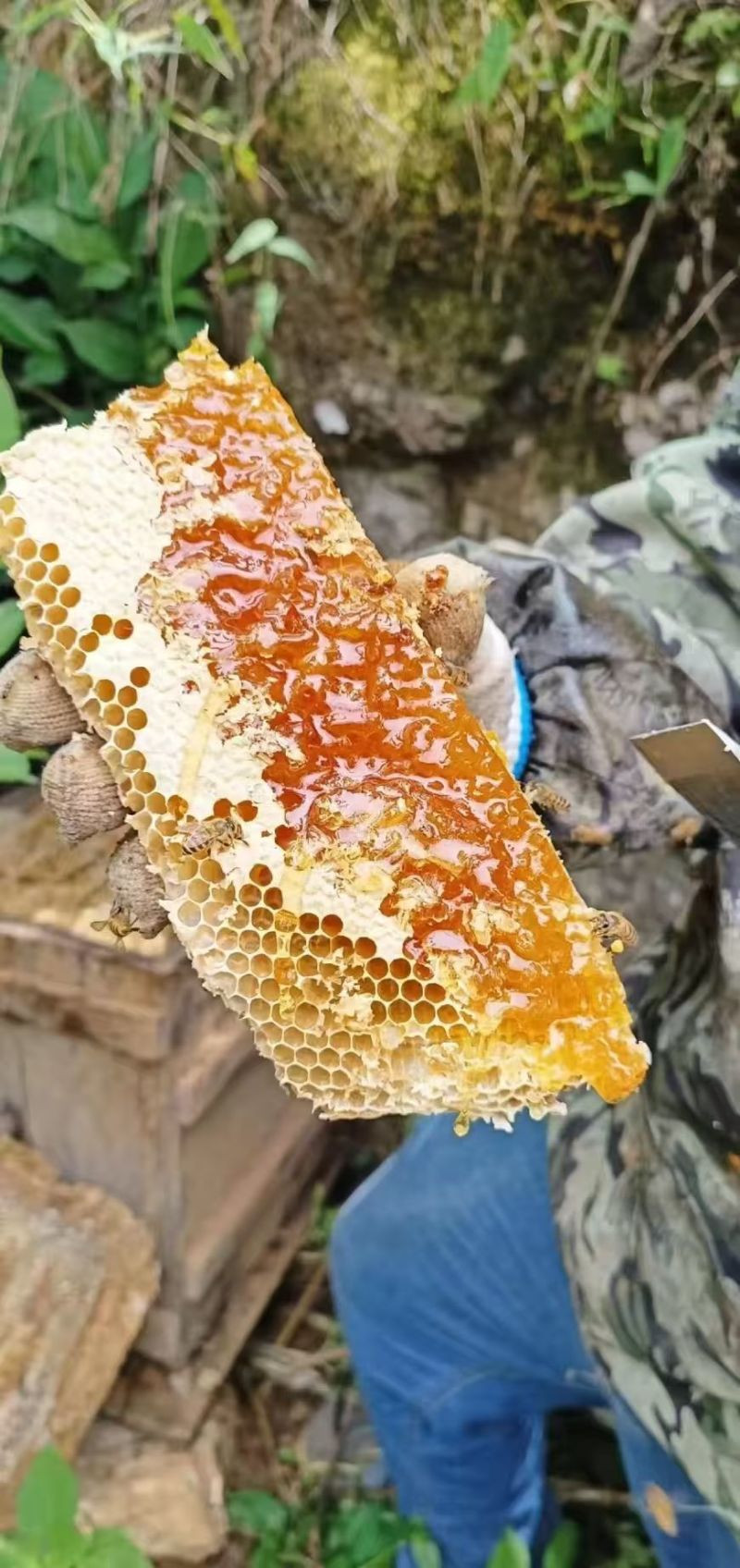 土蜂蜜，***