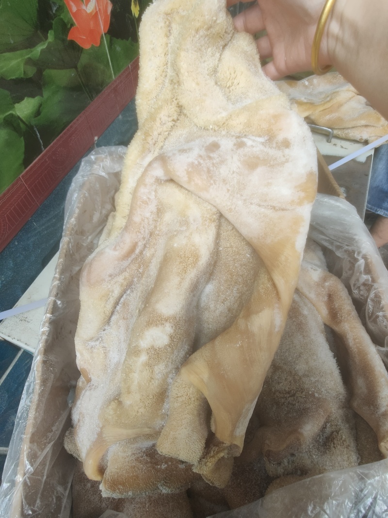 纯干无油牛肚厂家直发品质保障对接全国量大优惠
