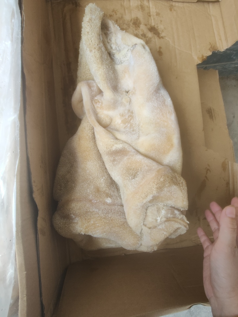 纯干无油牛肚厂家直发品质保障对接全国量大优惠
