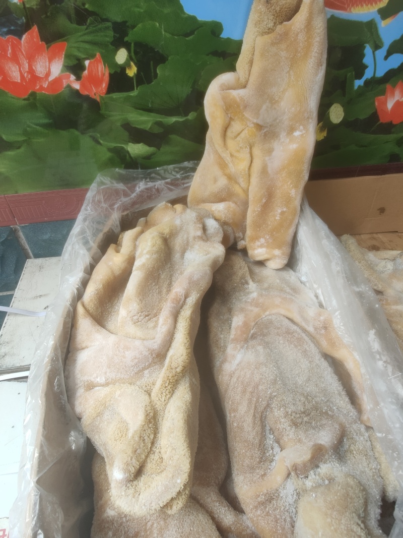 纯干无油牛肚厂家直发品质保障对接全国量大优惠
