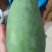 广西百色芒果