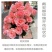 戴安娜玫瑰鲜花花期超长鲜花花花束家庭家用插花云南基地直发速发