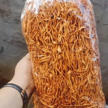 虫草花散装便宜啦