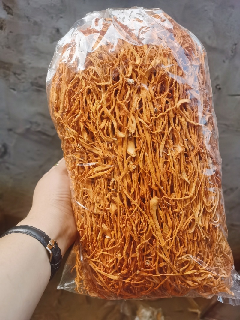 虫草花散装便宜啦