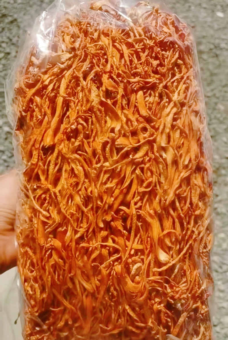 虫草花散装便宜啦