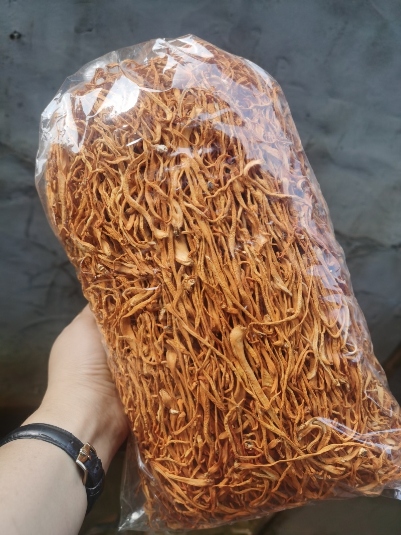 虫草花散装便宜啦