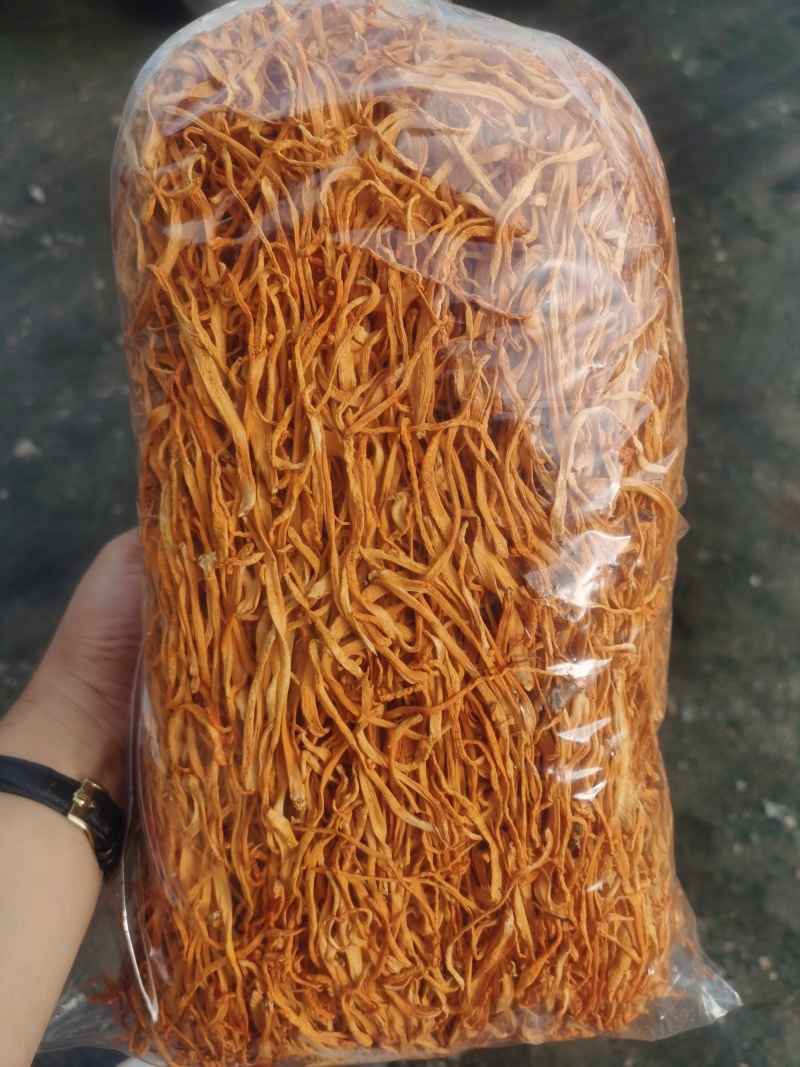 虫草花散装便宜啦
