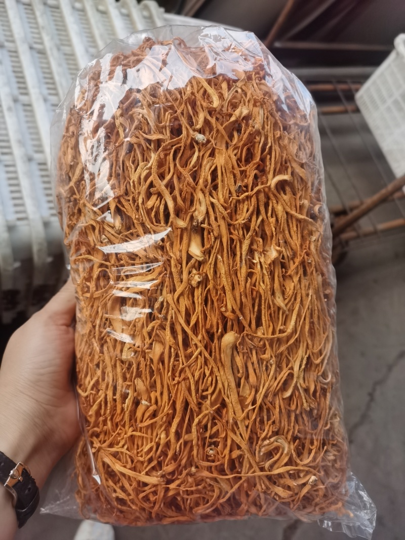 虫草花散装便宜啦