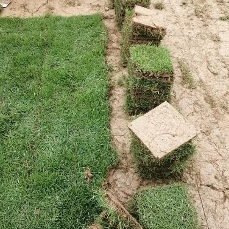 场地直营
