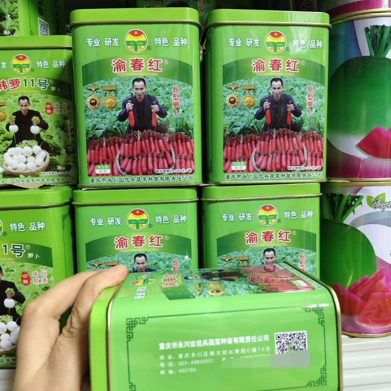 川渝热销渝春红红皮萝卜种子味甜水多长型红萝卜种籽白肉