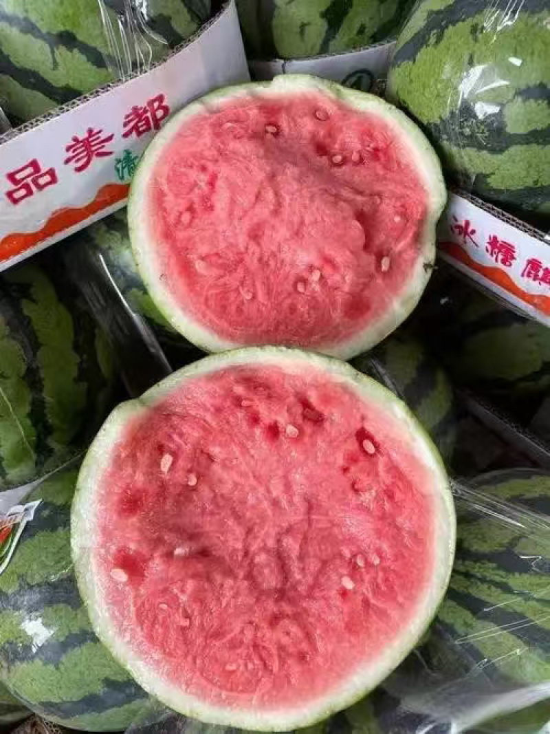 甘肃美都精品西瓜金花西瓜4K西瓜大量现货一手货源