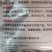 花生膨果增产抗衷防叶黄抗重茬