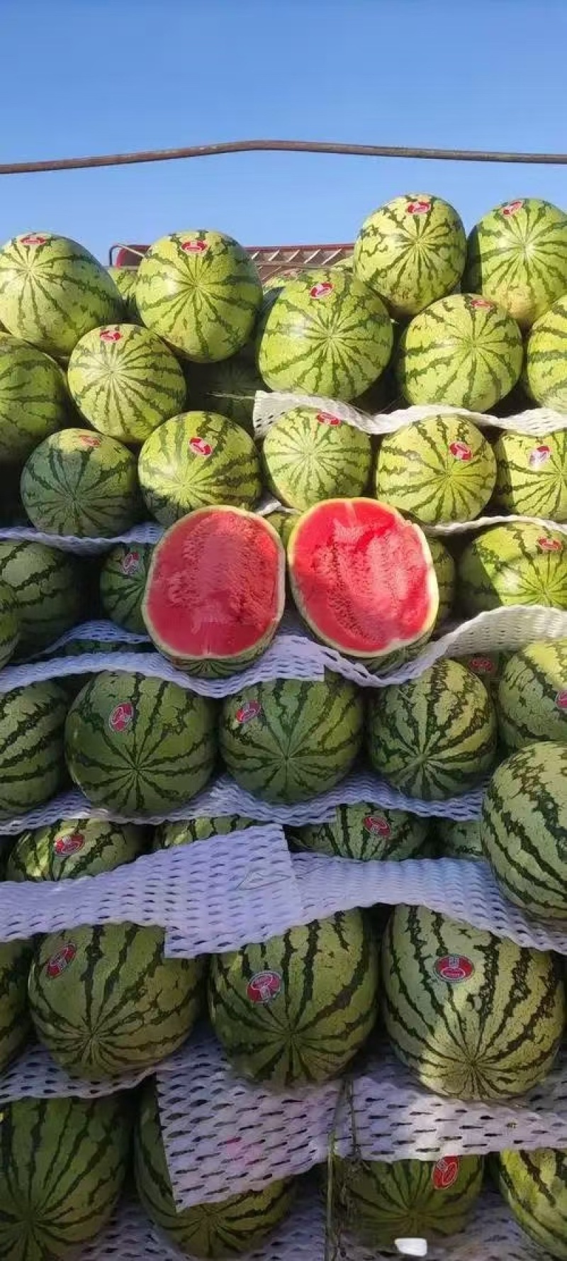 【推荐】精品西瓜金花西瓜硒砂瓜西瓜大量现货一手货源