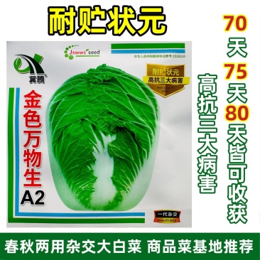 金色万物生A2大白菜种子春秋两用杂交大白菜种籽耐贮状元高