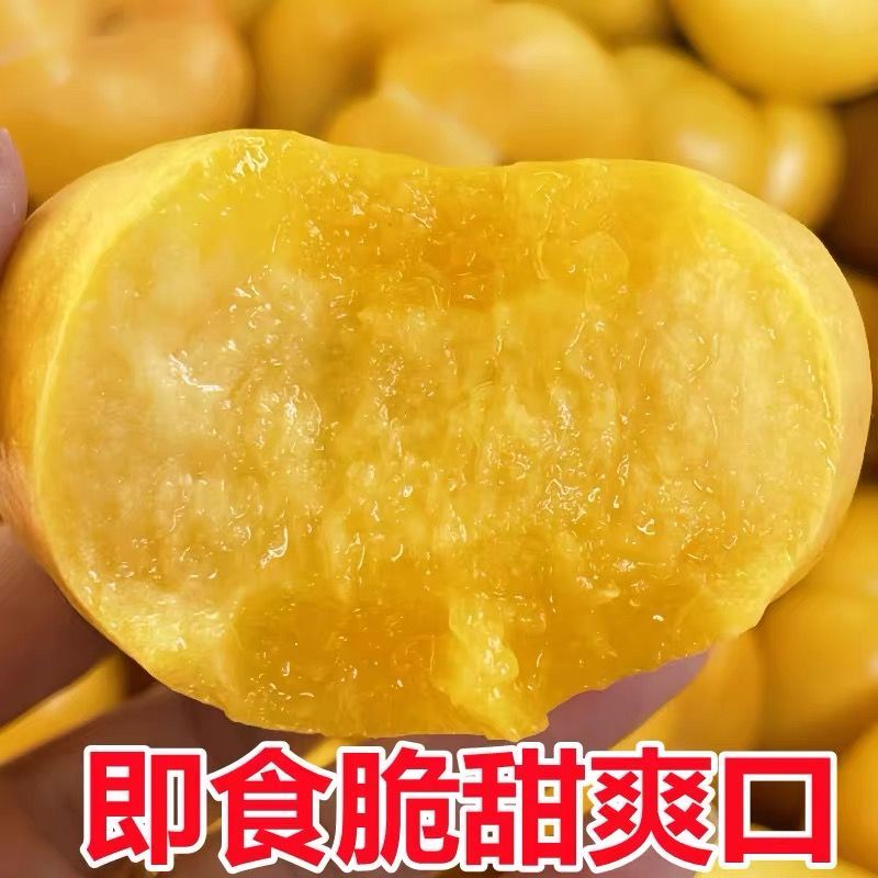 蟠桃9号一手货源品质保证好吃不贵量大价优对接全国客商