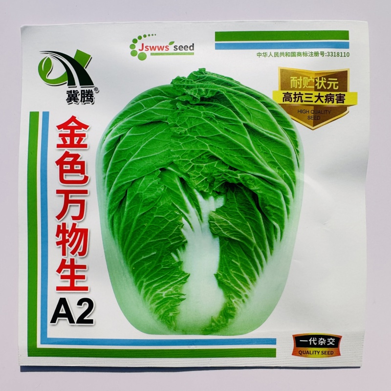 金色万物生A2大白菜种子春秋两用杂交大白菜种籽耐贮状元高
