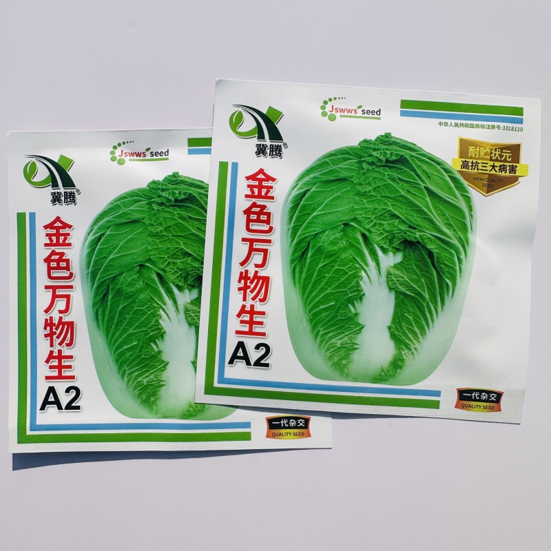 金色万物生A2大白菜种子春秋两用杂交大白菜种籽耐贮状元高