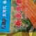 玉米专用新康普霸6号，倒伏防，空棵防，秃尖创高，产