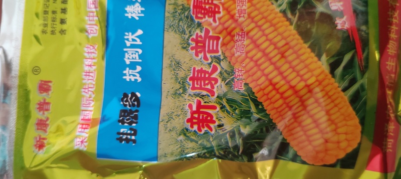 玉米专用新康普霸6号，倒伏防，空棵防，秃尖创高，产