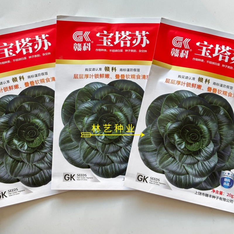 赣科宝塔苏青菜种子种籽耐寒油亮矮脚黑叶油菜苏州蔬菜趴地苏