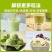 【净重批发】免煮绿豆沙粉速溶绿豆沙冲泡即食绿豆沙饮料摆摊解暑