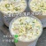 茉莉冰豆浆粉商用家用豆浆粉早餐营养冲泡独立组合茶摆地摊网红