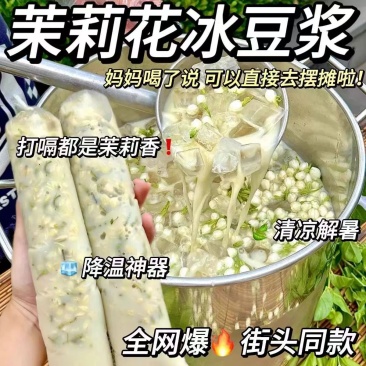 茉莉冰豆浆粉商用家用豆浆粉早餐营养冲泡独立组合茶摆地摊网红