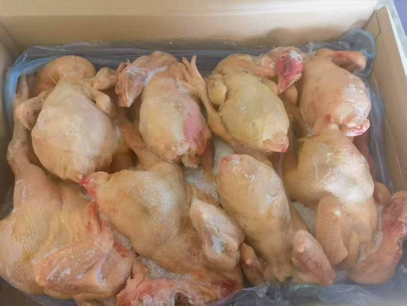 一二级三黄鸡，价格便宜，厂家直销，6-7-8-9各种规格都有