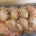 一二级三黄鸡，价格便宜，厂家直销，6-7-8-9各种规格都有