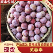 三华李芙蓉李电商货福建古田红心李大果一件代发李子